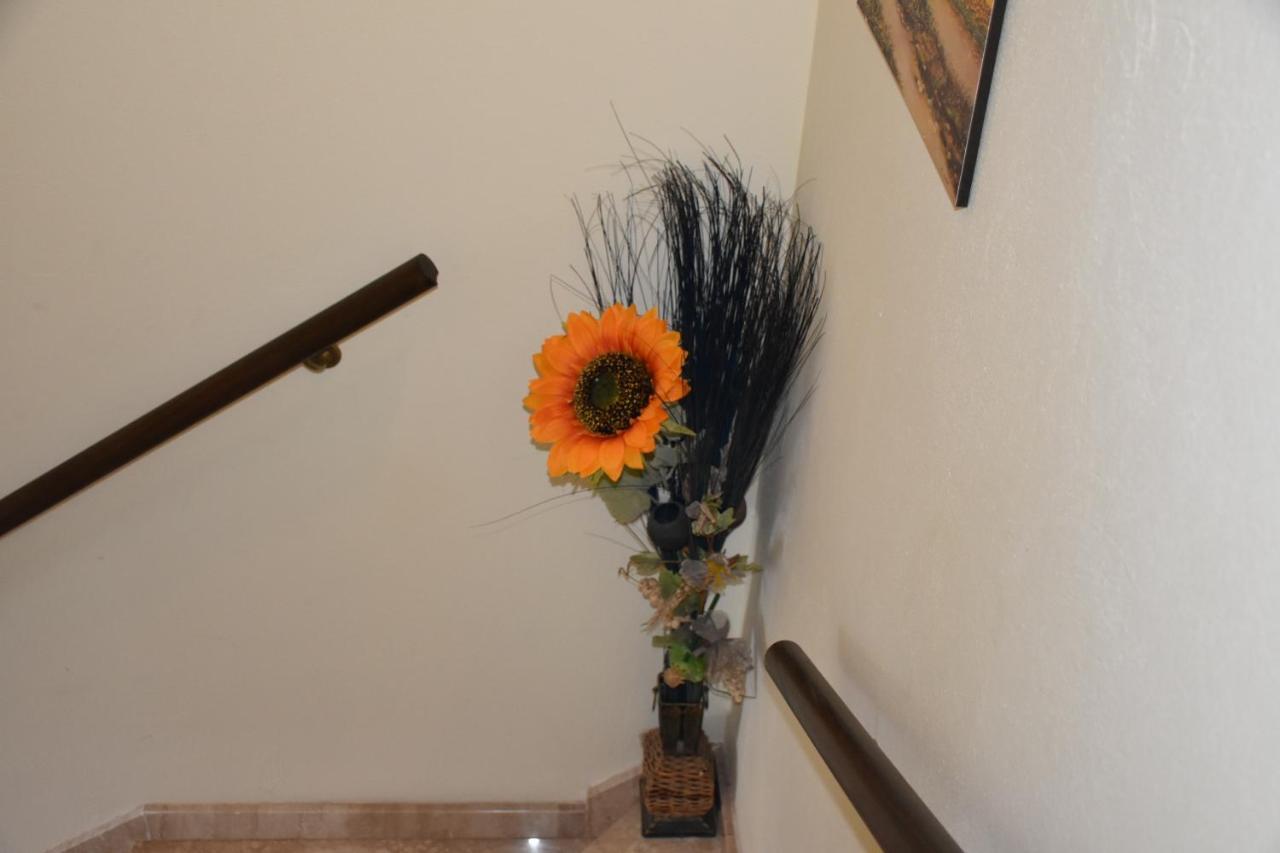 B&B Il Girasole Assemini Εξωτερικό φωτογραφία