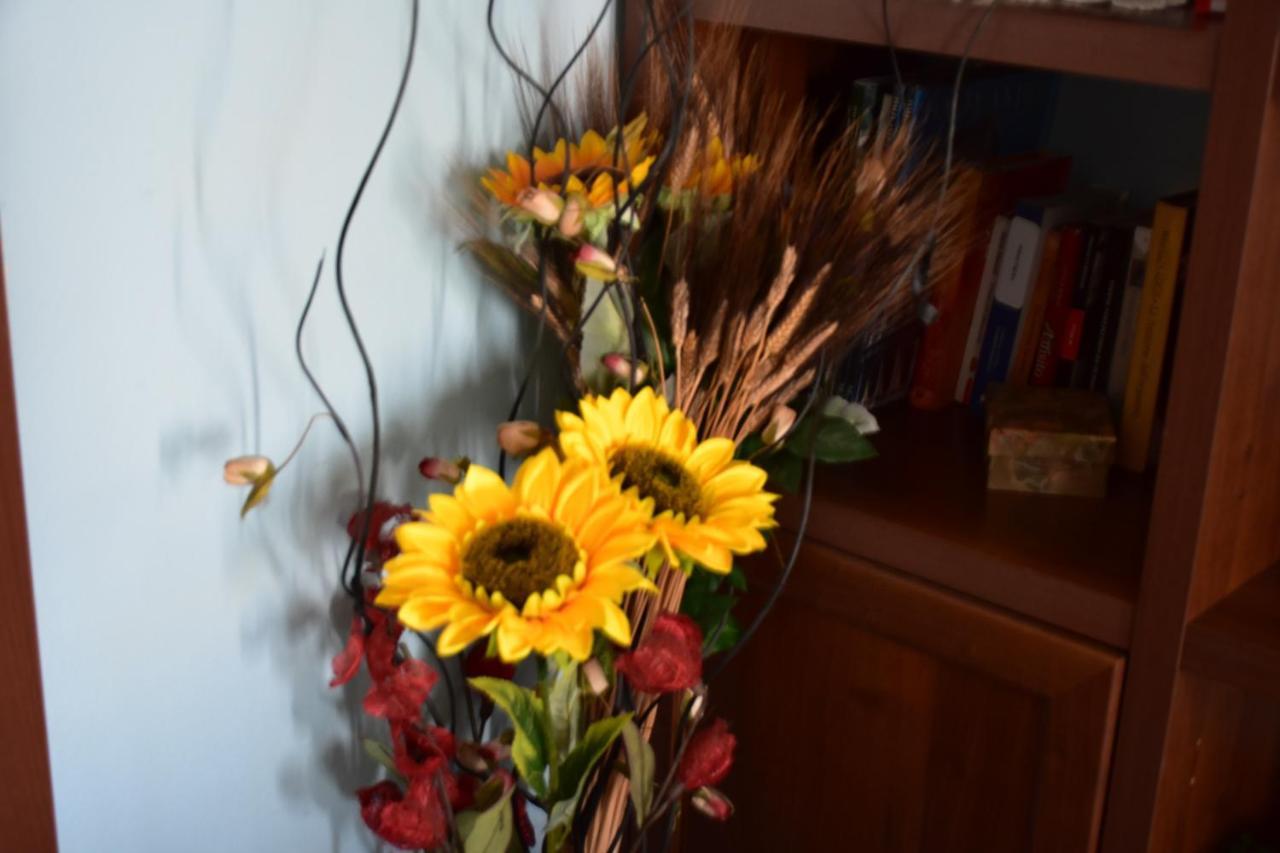 B&B Il Girasole Assemini Εξωτερικό φωτογραφία