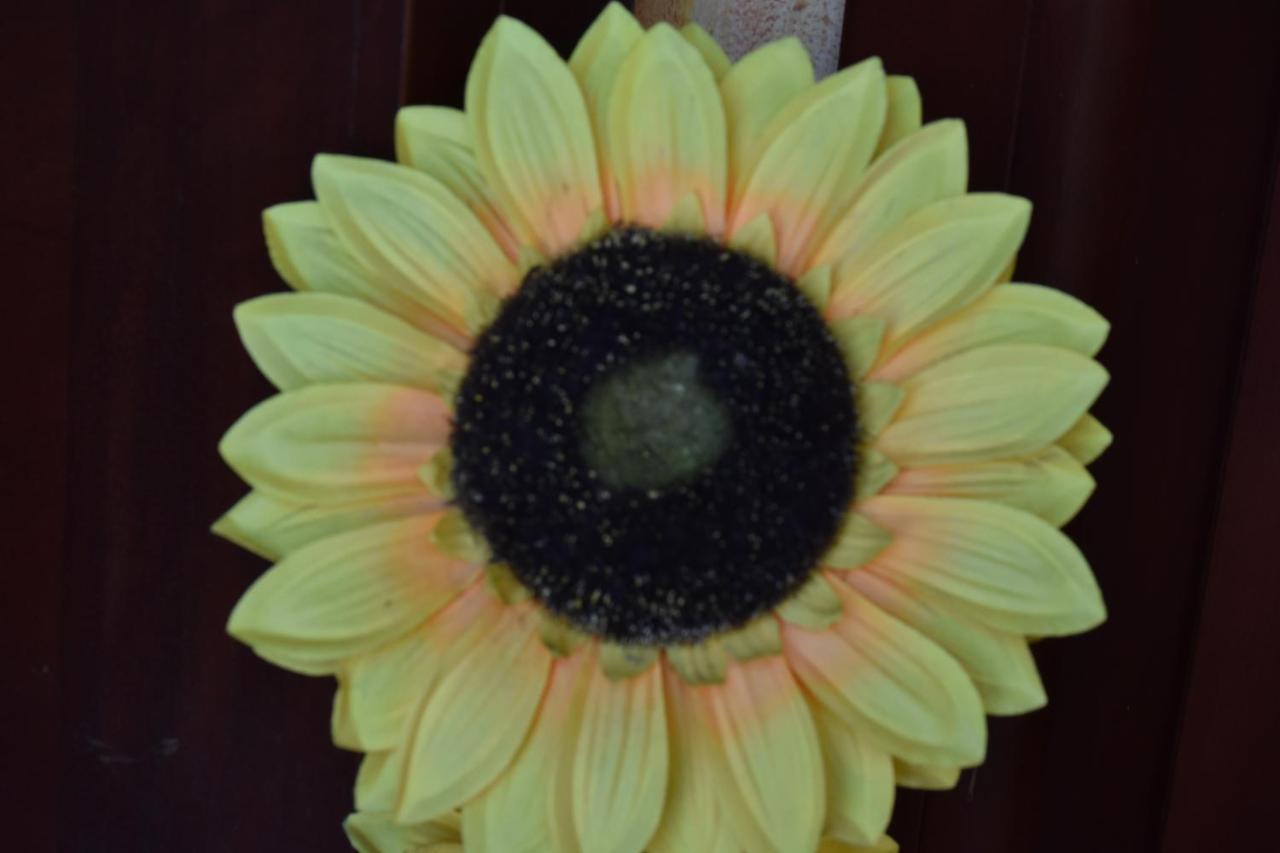 B&B Il Girasole Assemini Εξωτερικό φωτογραφία