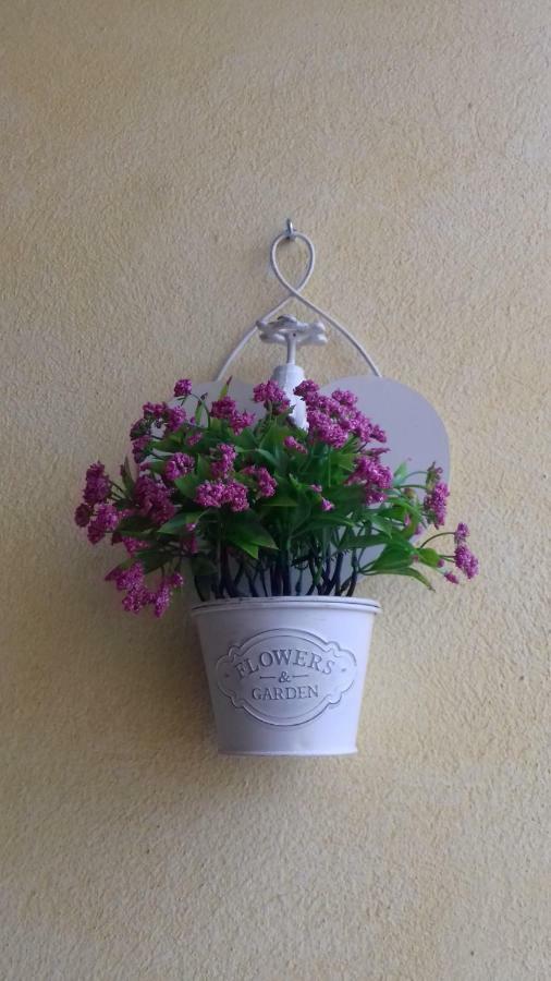 B&B Il Girasole Assemini Εξωτερικό φωτογραφία